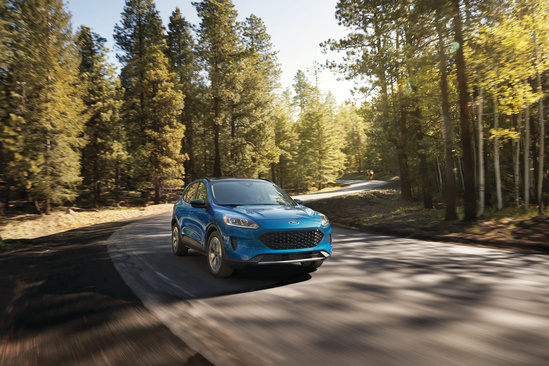 Blue SUV driving on a winding forest road under clear skies, surrounded by tall trees. The scene conveys freedom and adventure.