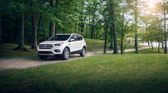 A white SUV drives along a tree-lined dirt road on a sunny day, conveying a sense of adventure and tranquility. Sunlight filters through the lush green forest.