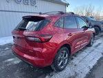 2023 Ford Escape Hybrid ST-Line Select