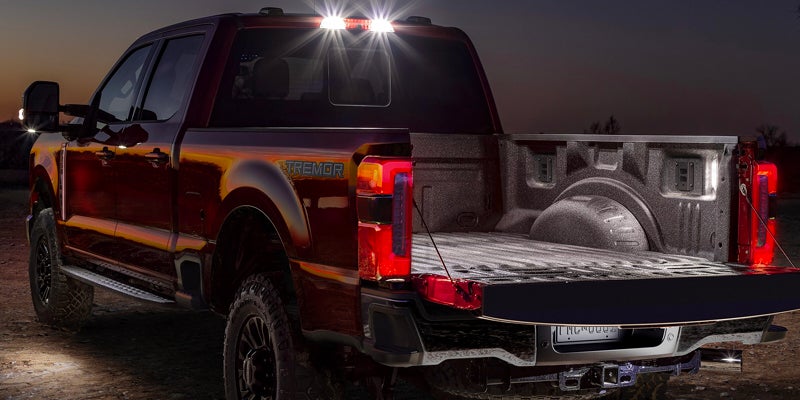 2025 Ford Super Duty F-350 back view